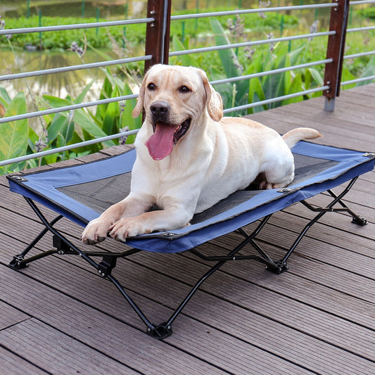 Folding Dog Bed And Travel