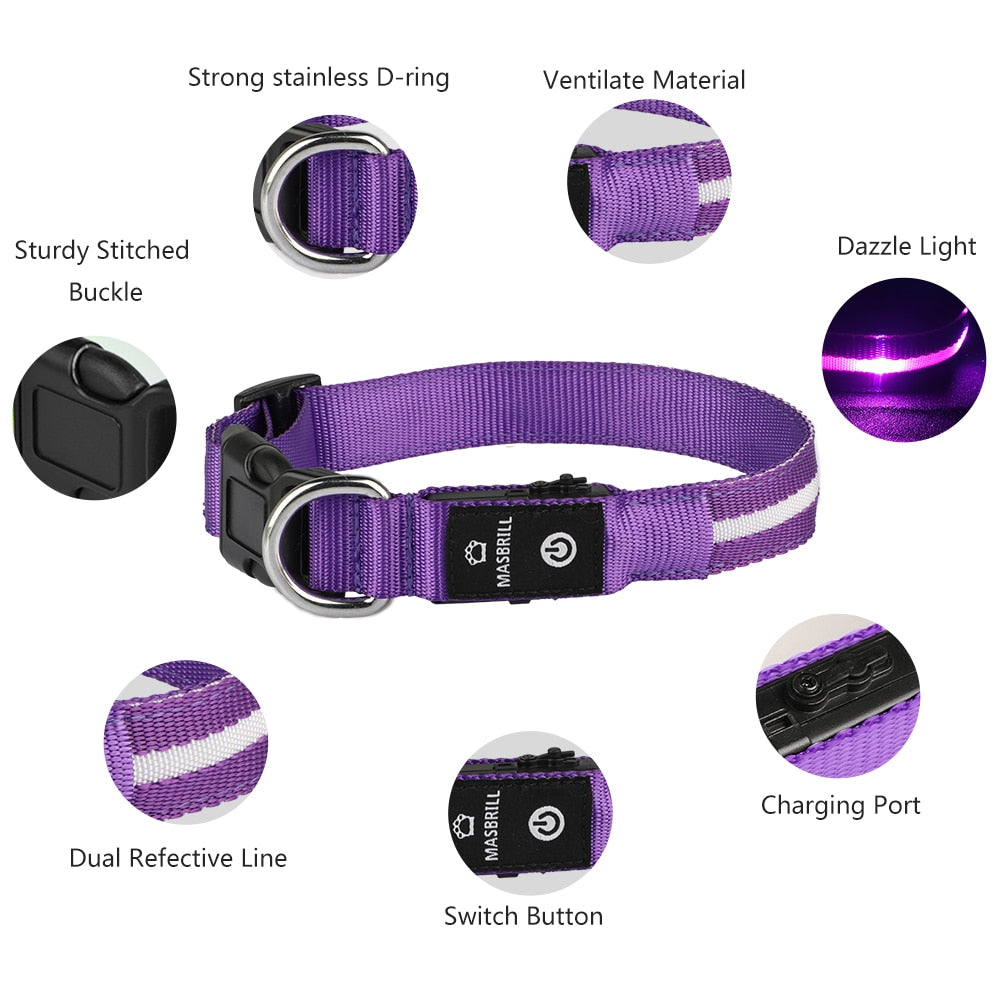Glowing Luminous Safety Collar Pet Accessories