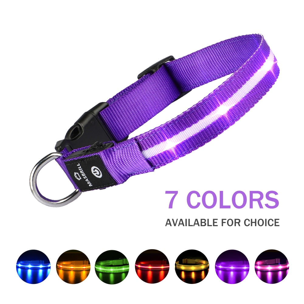 Glowing Luminous Safety Collar Pet Accessories